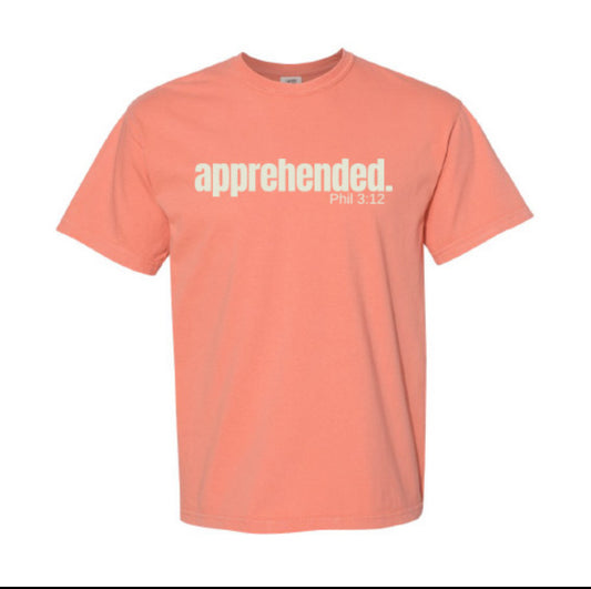 Apprehended